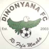 Dinonyana FC