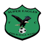 Super Eagles